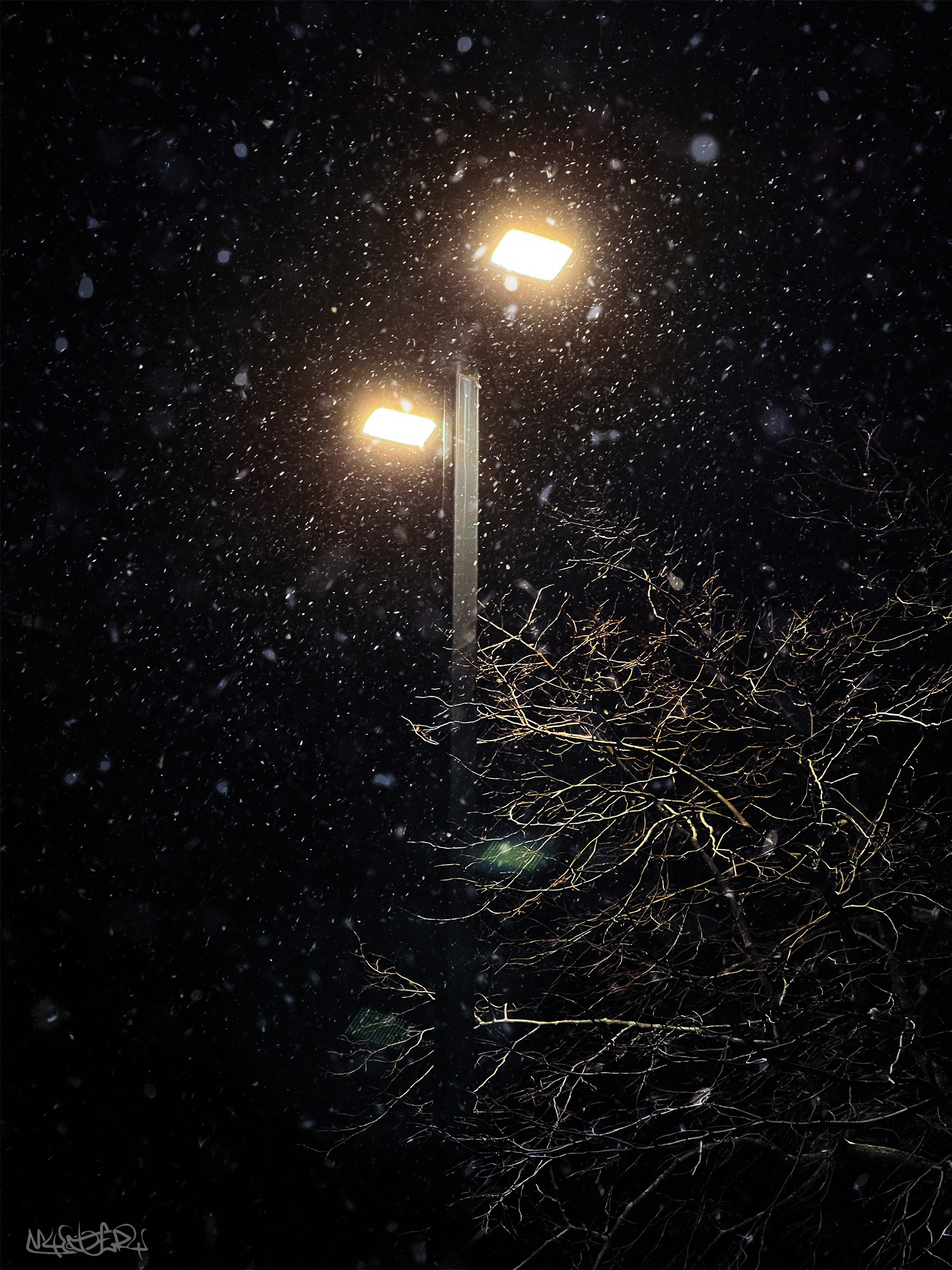 coldnight