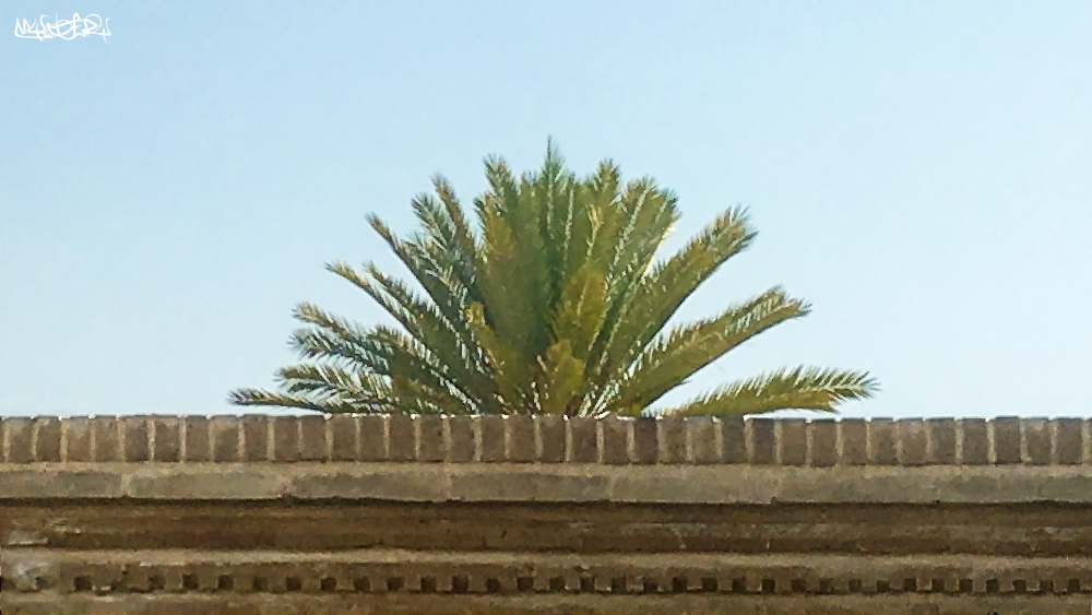 nakhlshiraz